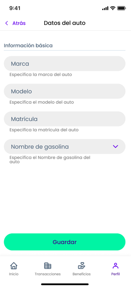 Registrar_datos_veh_culo.png